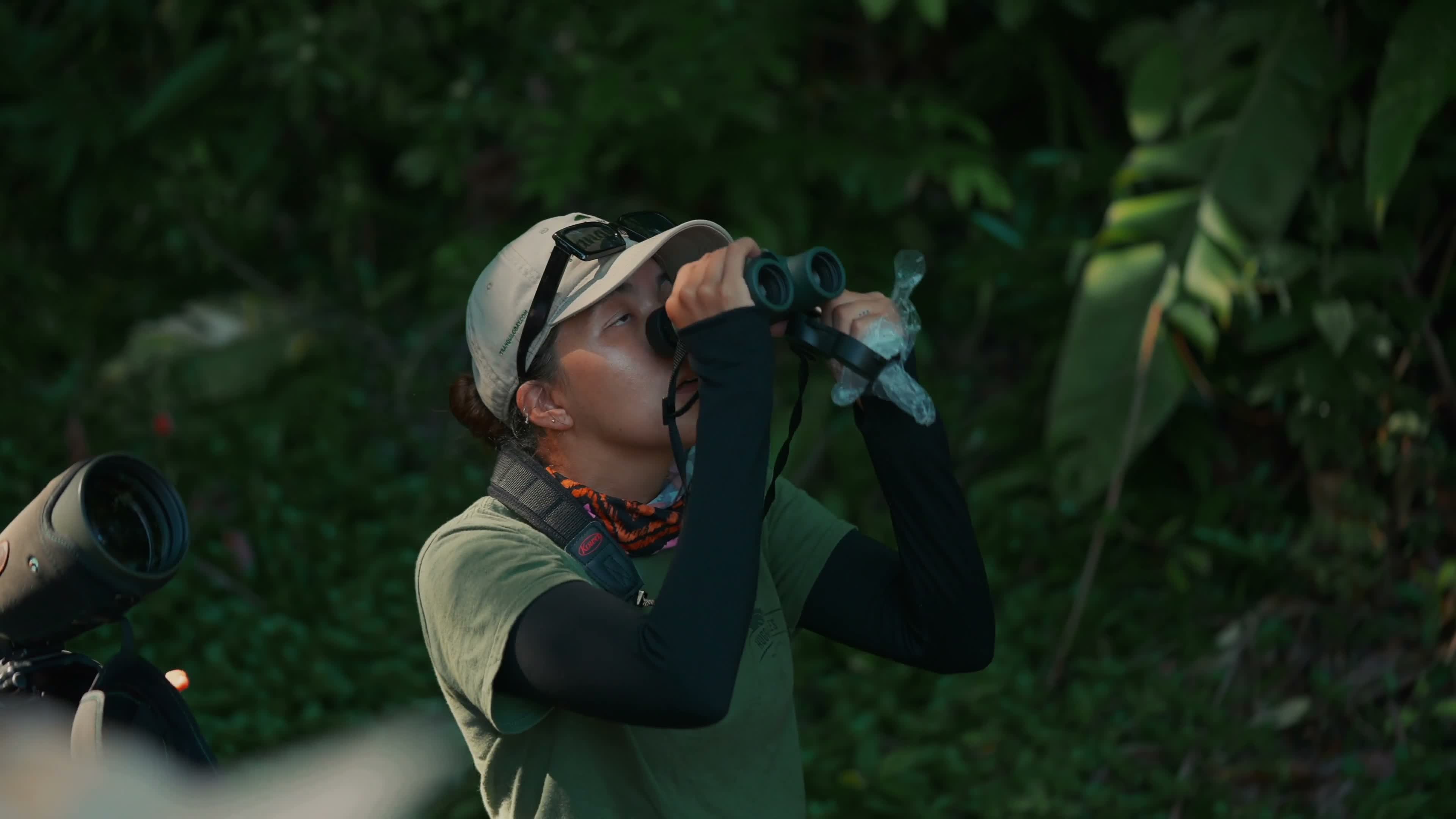 Tranquilo Bay Commercial